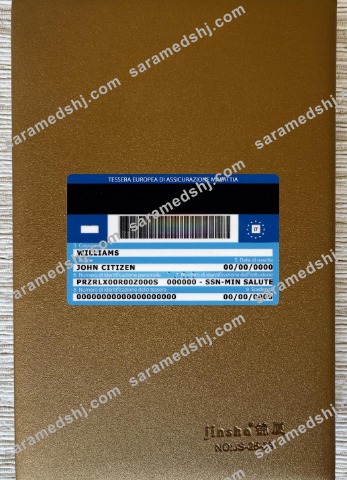 Italy Tessera Sanitaria (health insurance card) photolook back